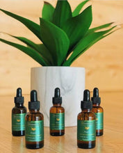 Load image into Gallery viewer, Liznature Oil Hair Treatment 100% Organic
