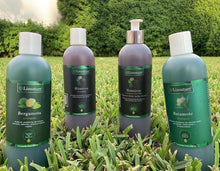 Load image into Gallery viewer, Liznature Shampoo 100% Organic
