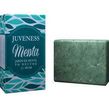 Load image into Gallery viewer, Mint Soap
