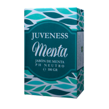 Load image into Gallery viewer, Mint Soap
