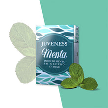 Load image into Gallery viewer, Mint Soap
